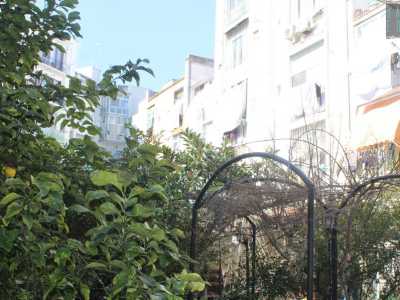 Il giardino appare per� in stato di semi abbandono: i gazebo posizionati dal signor Giuseppe, il proprietario dell'area, sono state divelte dal vento e l�erba sta crescendo ovunque